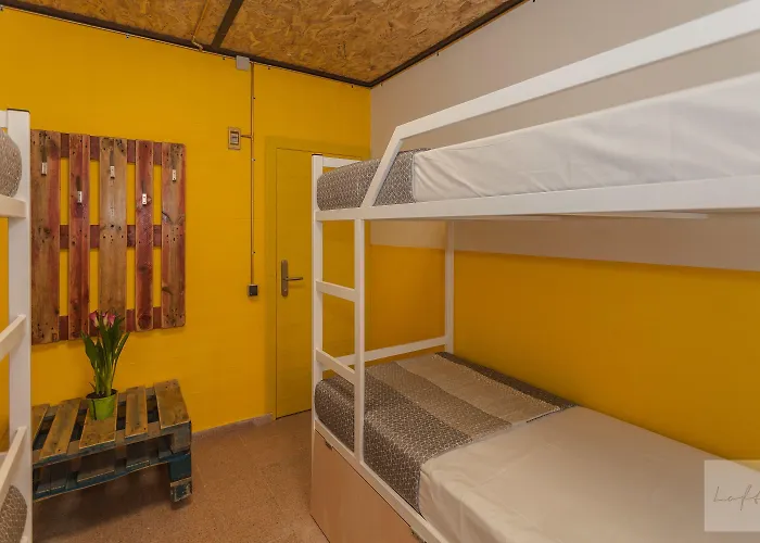 Loft Group *